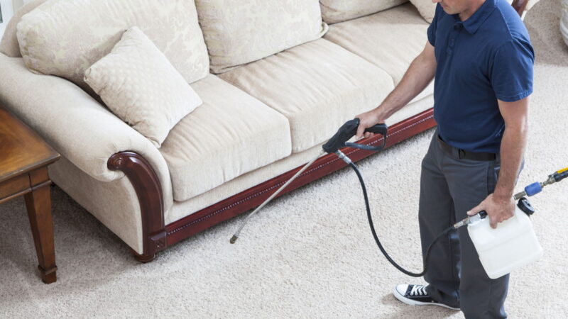 Why Is It Important To Hire Experts In Office Carpet Cleaning?