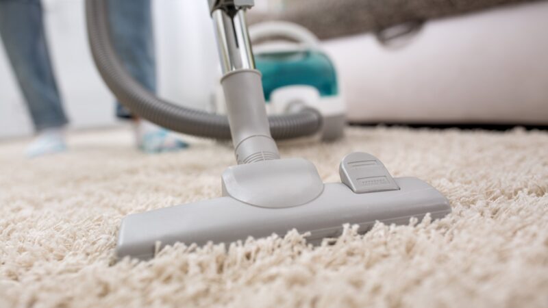 How to Choose the Right Carpet Cleaner Company
