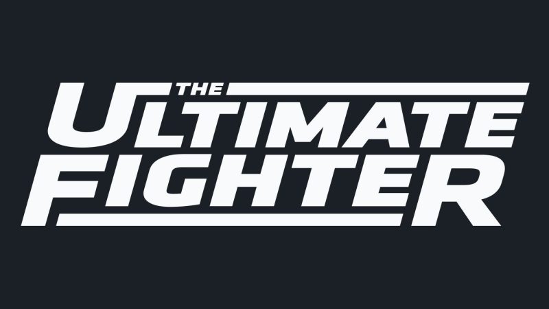 The Ultimate Fighter Games