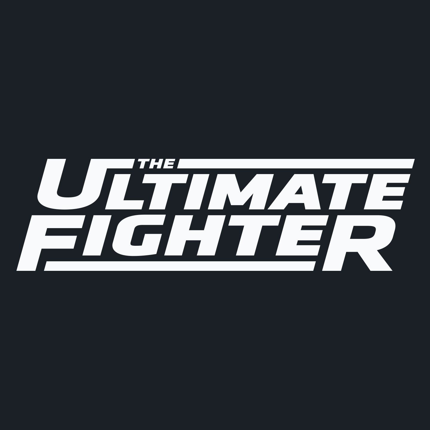 The Ultimate Fighter Games