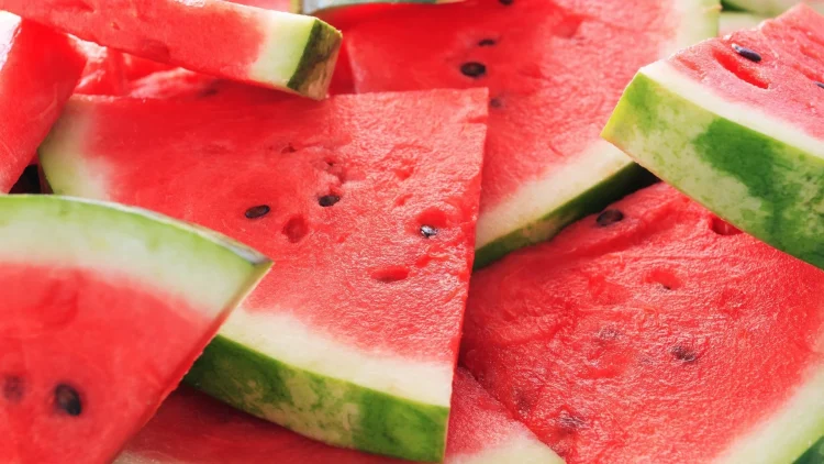 Exploring the Juicy Debate: Can Dogs Eat Watermelon?