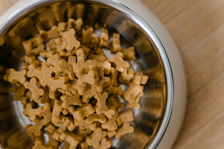 The Eco-Friendly Choice: Why a Three Bowl Elevated Dog Feeder Supports Sustainable Pet Parenting